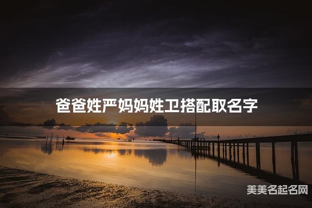 爸爸姓严妈妈姓卫搭配取名字
