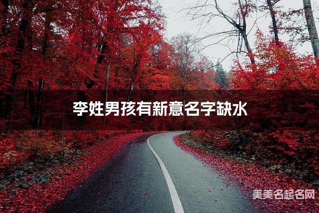 李姓男孩有新意名字缺水 有创意的宝宝名字大全