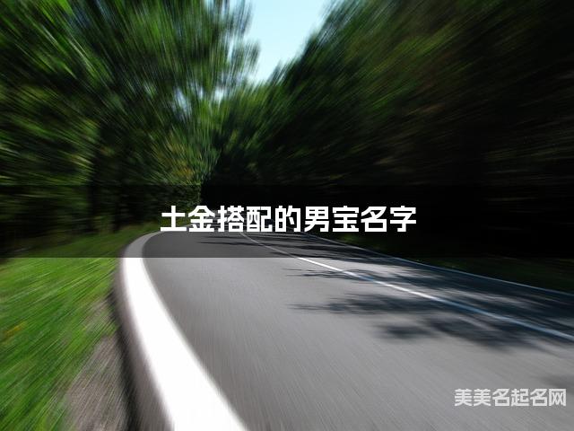 土金搭配的男宝名字 男宝冷门独特稀少的名字