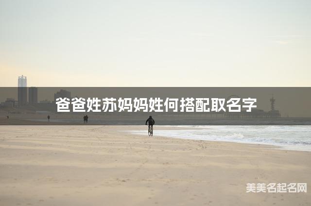 苏姓和何姓搭配取名好听的小女孩名字有哪些