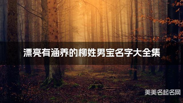 漂亮有涵养的柳姓男宝名字大全集