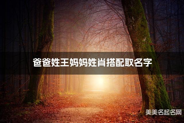 王肖姓结合取男宝宝名字如何取