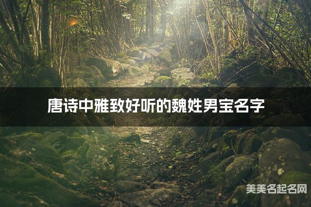 唐诗中雅致好听的魏姓男宝名字