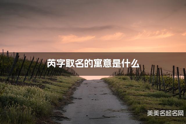 芮字取名的寓意是什么