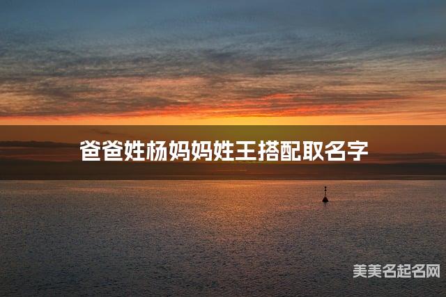 把杨姓和王姓结合取女宝名字方案参考