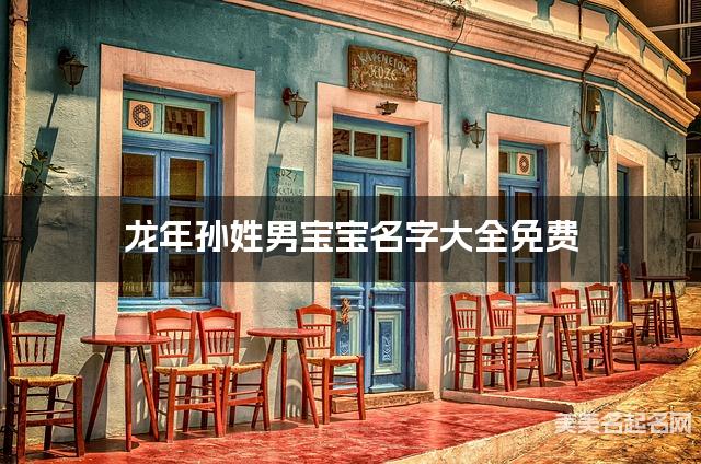 龙年孙姓男宝宝名字大全免费 雅致好听的名字