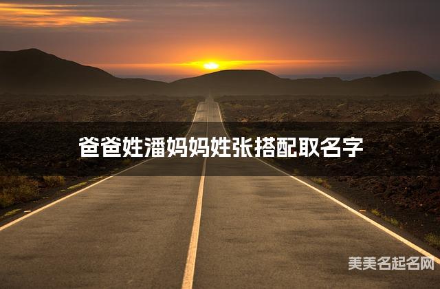 爸爸姓潘妈妈姓张搭配取名字