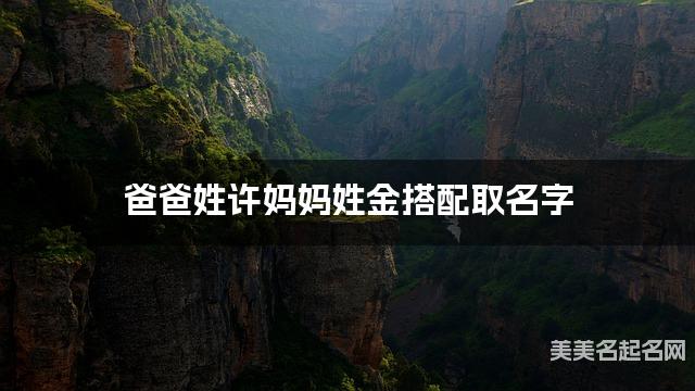 爸爸姓许妈妈姓金搭配取名字