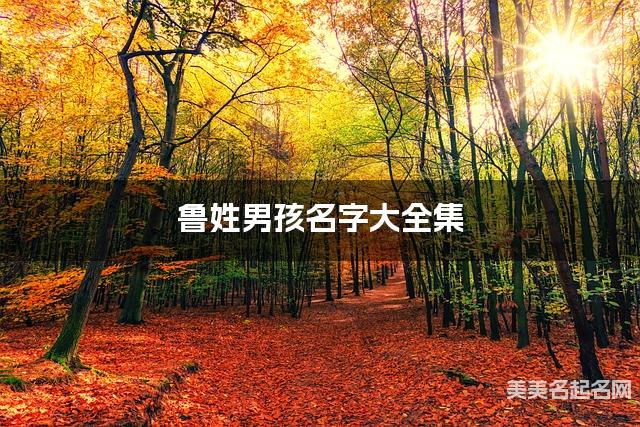 鲁姓男孩名字大全集（简单顺口300个）