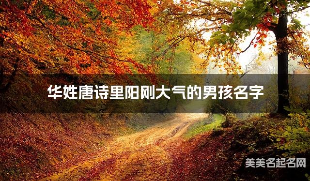 取名字大全免费查询 华姓唐诗里阳刚大气的男孩名字