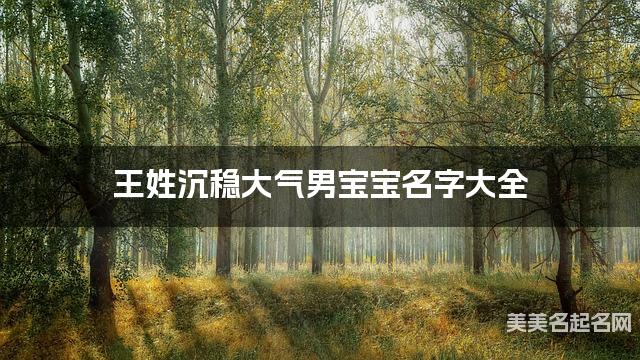 王姓沉稳大气男宝宝名字大全