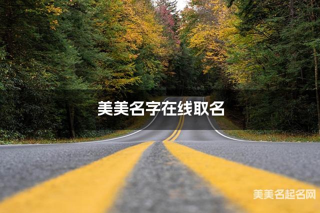 美美名字在线取名 最有涵养的华姓小男孩名字