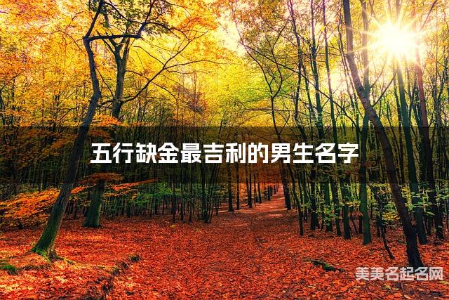 五行缺金最吉利的男生名字 有涵养的宝宝名字大全