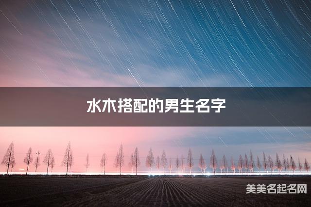 水木搭配的男生名字 男生最有气质的名字