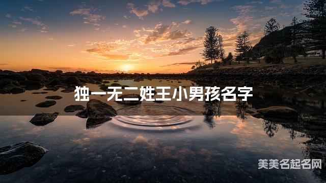 起名取名助手 独一无二姓王小男孩名字