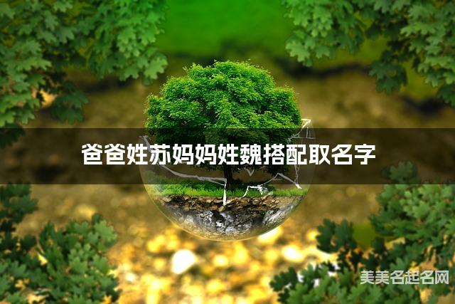 爸爸姓苏妈妈姓魏，如何结合两个姓氏取女生名字