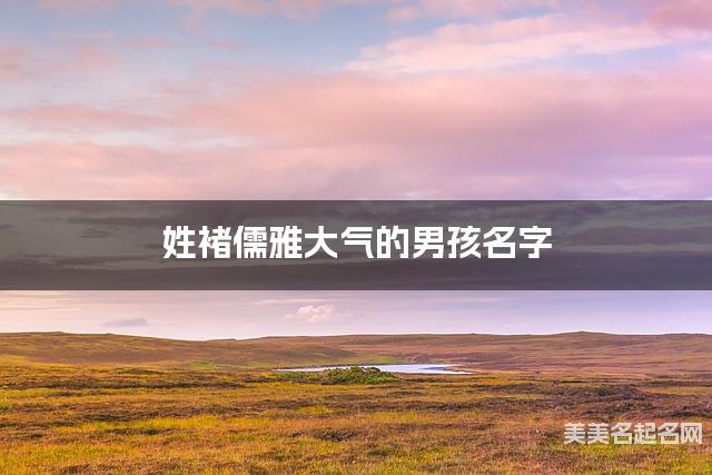 姓褚儒雅大气的男孩名字 姓褚儒雅大气的男孩名字
