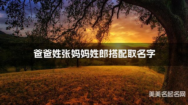 爸爸姓张妈妈姓郎搭配取名字