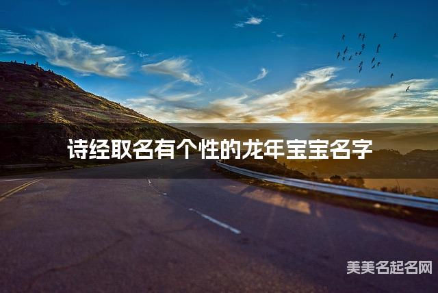 诗经取名有个性的龙年宝宝名字