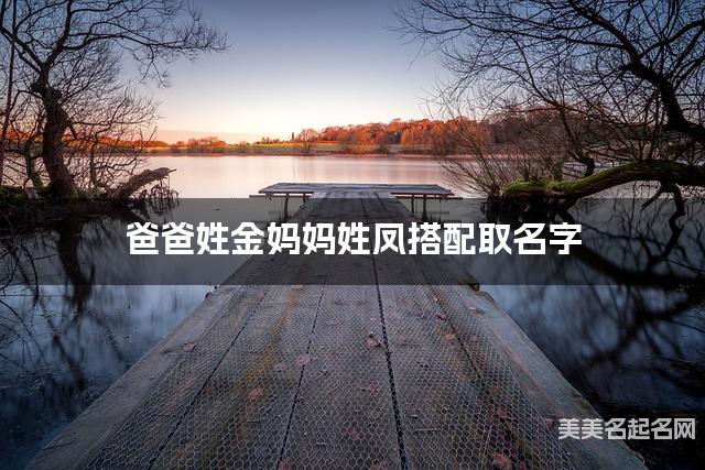 父母金姓和凤姓女宝宝取名搭配推荐（简单干净好听）