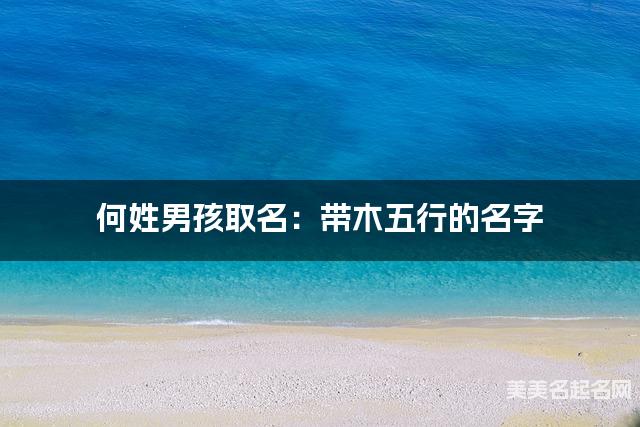 何姓男孩取名：带木五行的名字（有气质）