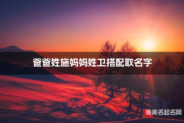 施姓和卫姓搭配取小男孩名字推荐