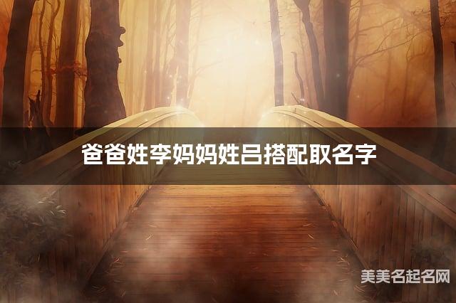 爸爸姓李妈妈姓吕搭配取名字