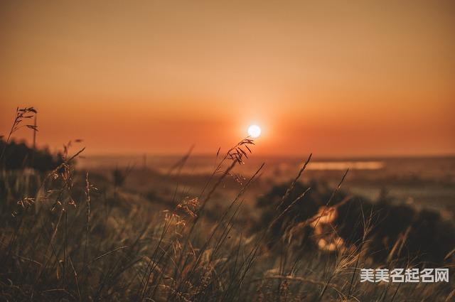 起名取名平台 李姓有内涵过目不忘的名字100分