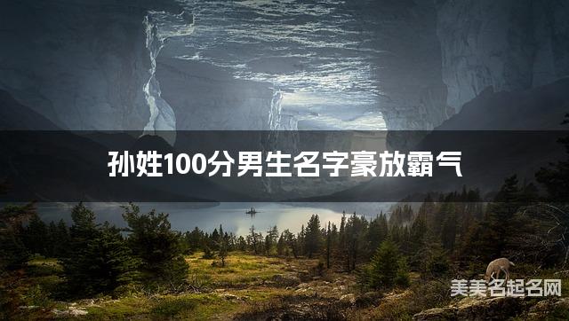 孙姓100分男生名字豪放霸气
