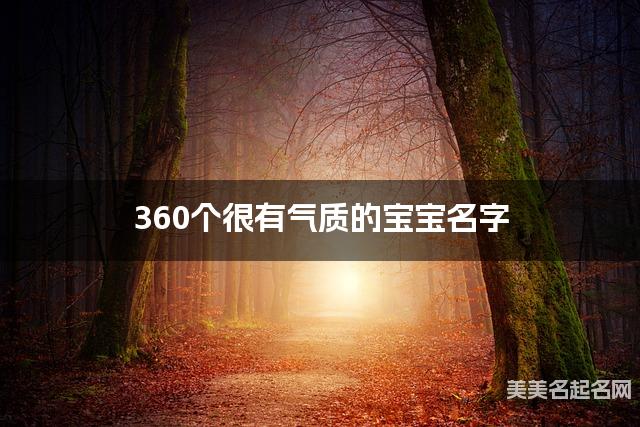 360个很有气质的宝宝名字