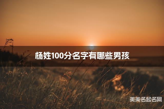 杨姓100分名字有哪些男孩