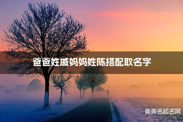 爸爸姓戚妈妈姓陈搭配取名字