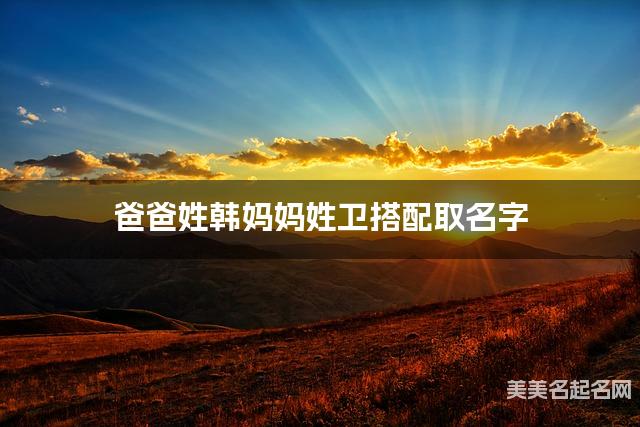 韩姓和卫姓搭配取名好听的男生名字有哪些