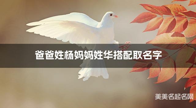 爸爸姓杨妈妈姓华搭配取名字