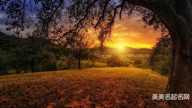 寓意不錯的嚴姓小男孩名字500個