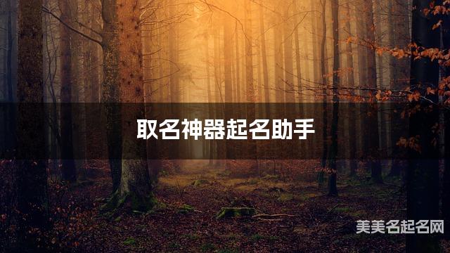 取名神器起名助手 韩姓风度翩翩的男孩名字