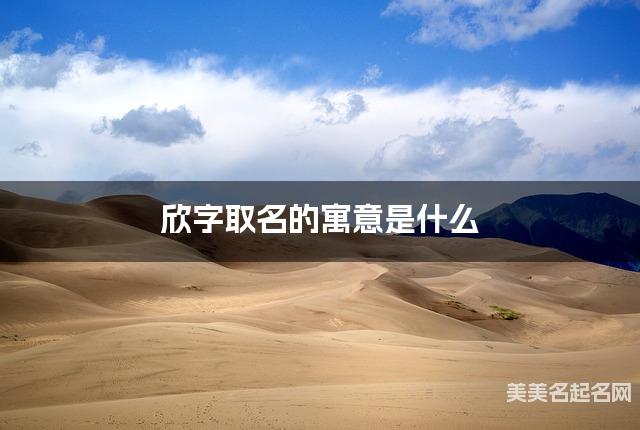 欣字取名的寓意是什么