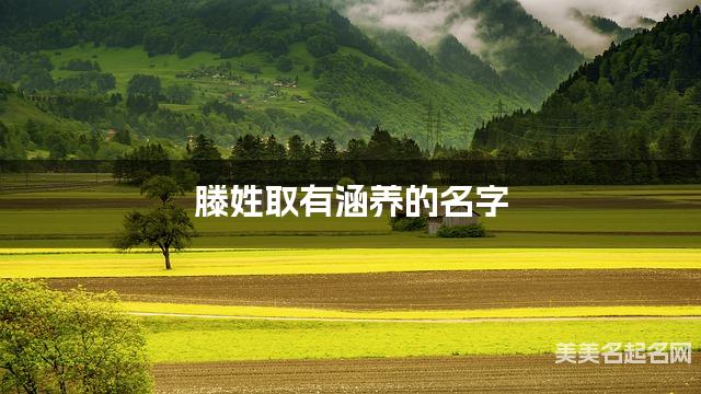 滕姓取有涵养的名字，滕姓宝宝高端名字