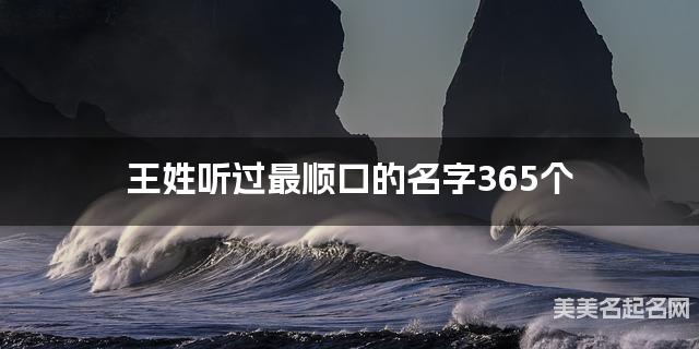王姓听过最顺口的名字365个