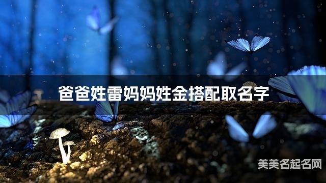 父母雷姓和金姓女宝宝取名搭配推荐（最有气质）