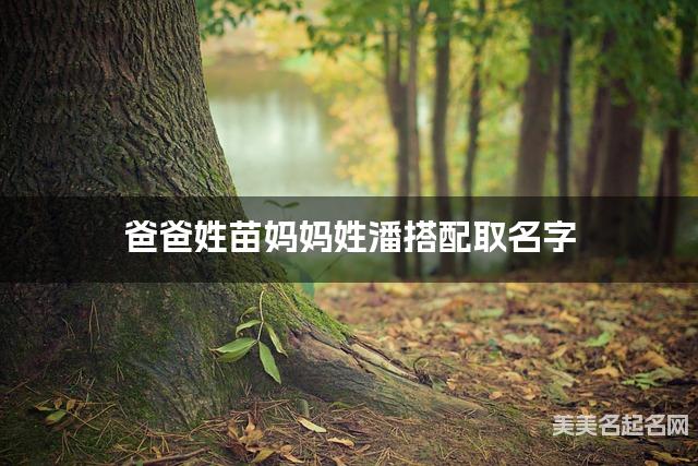 苗潘姓氏搭配取名，有创意的男宝宝名字案例