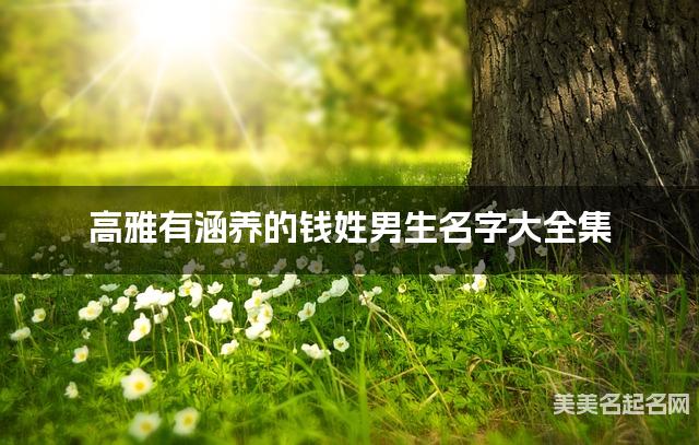 高雅有涵养的钱姓男生名字大全集