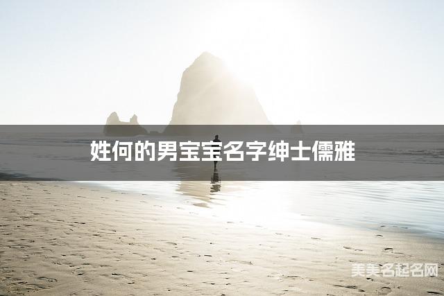 姓何的男宝宝名字绅士儒雅