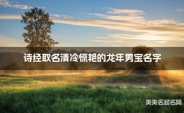 诗经取名清冷惊艳的龙年男宝名字