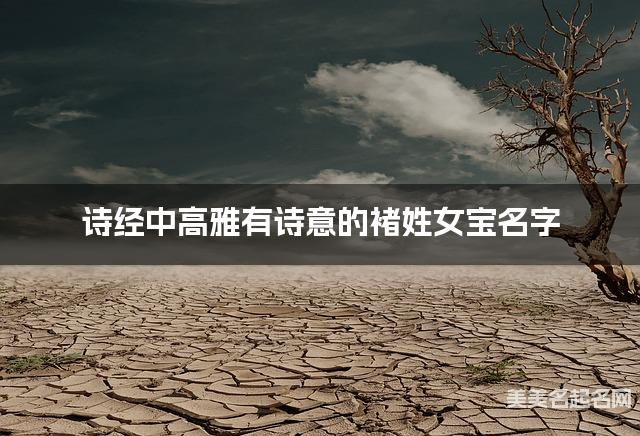 诗经中高雅有诗意的褚姓女宝名字