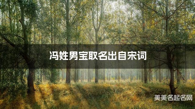 周易取名网 冯姓男宝取名出自宋词