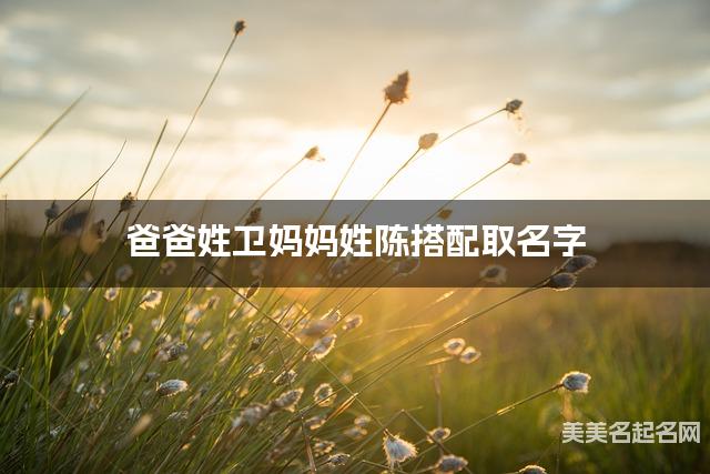 爸爸姓卫妈妈姓陈取名字 男宝宝高雅有涵养的名字