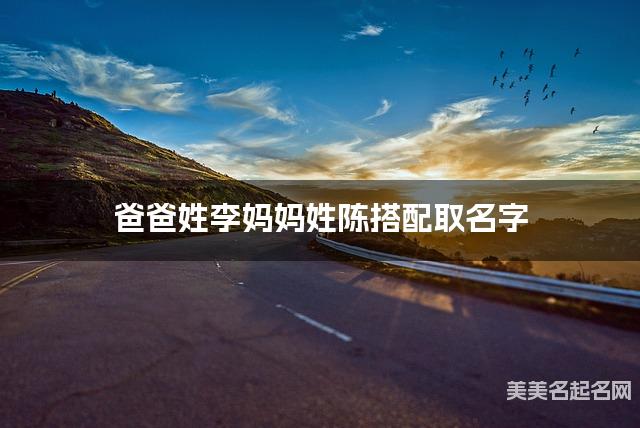 爸爸姓李妈妈姓陈搭配取名字