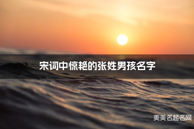 宋词中惊艳的张姓男孩名字