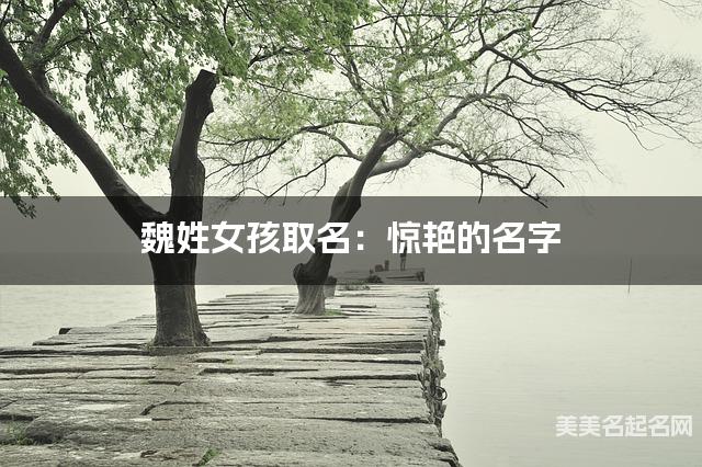 魏姓女孩取名：惊艳的名字